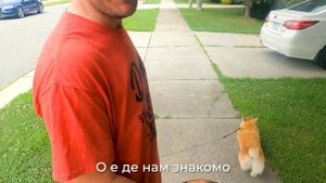 НАЙТИ СОКРОВИЩЕ В ГАРАЖЕ - КАК РАБОТАЮТ ГАРАЖНЫЕ РАСПРОДАЖИ В АМЕРИКЕ