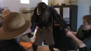 Волосатая история