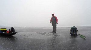 Разловил балансир Lucky John MEBARU. Окунь. Чудское озеро.