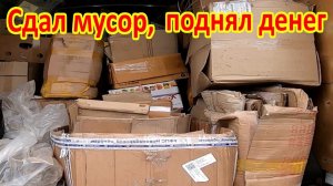 Сколько можно заработать на картоне и стекле в 2022 году