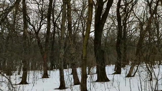Избавитесь от манипуляторов на вашем пути постоянно появляются те, кто не прочь вами попользоваться