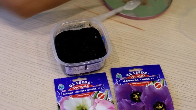 ЭУСТОМА как легко вырастить из семян! Посев .
