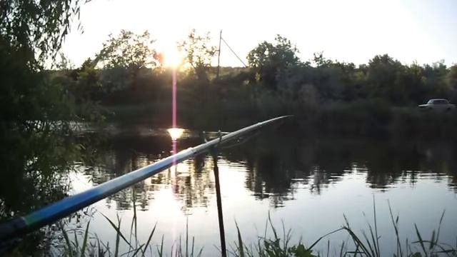 Крупный КАРАСЬ на ПОПЛАВОК. РЫБАЛКА 2018. смотреть онлайн