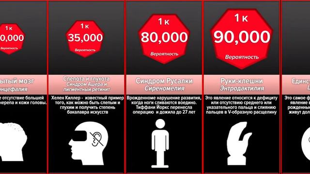 Сравнение Вероятностей  Редкие Мутации Человека