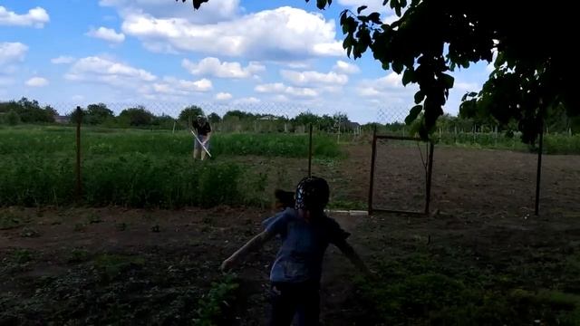 На рынок за огурцами // Рассаживаем цветы с девчонками смотреть онлайн