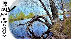 Ловля майского карася на поплавок. Куда податься в нерестовый запрет.