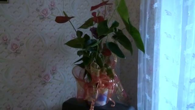 Юбилей мамы. 75 лет. Дочь поздравляет. смотреть онлайн