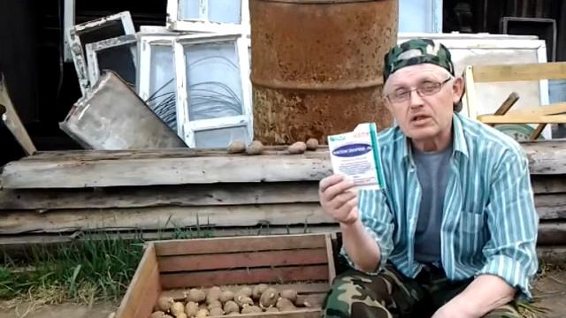Чем я обрабатываю картофель, для защиты от фитофтороза смотреть онлайн