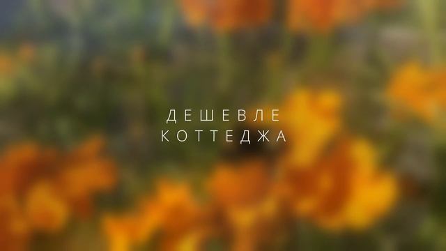 Поселок Янтарный