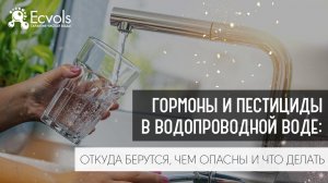 Гормоны и пестициды в водопроводной воде:откуда берутся, чем опасны и что делать