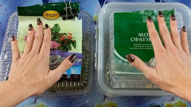 Вырастить МОХ СФАГНУМ??"Фаско" и "Биотехнологии" из Леруа?Условия содержания?Результат за ДВА месяц