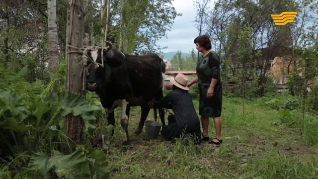 «Тағдыр тартысы». Үйлену оңай. 2-бөлім смотреть онлайн