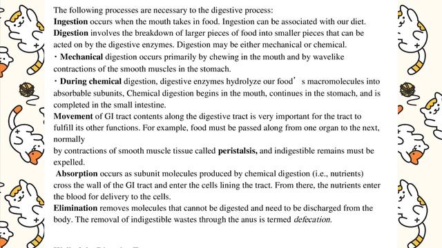 Bio.git.falluja.1st stage _ Dr.abrar . Test смотреть онлайн