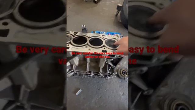 Ford Fusion 1.6L ecoboost crankshaft tool installation