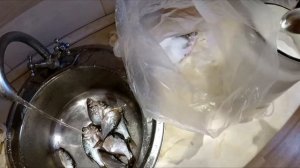 Засолка Рыбы в пакете, всё очень просто