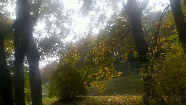 "ВИСЕЛО МОЧАЛО-НАЧИНАЙ СНАЧАЛА" Лена Хеппи начинала с сю-сю,закончила как всегда."Вы всё врёте" смотреть онлайн