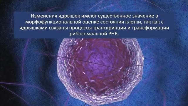 Повреждение. Часть 3. Патологическая анатомия.