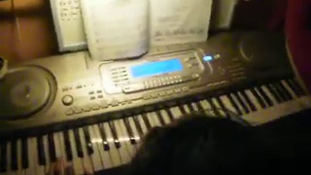 PA030001 ALEX Goniąc Kormorany смотреть онлайн