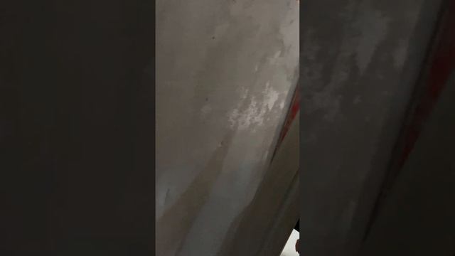 Маляр приймає штукатурку