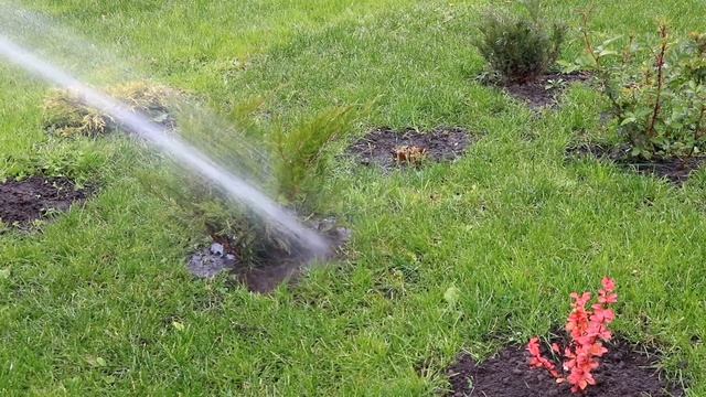 ЗАЧЕМ МЫ ПОЛИВАЕМ РАСТЕНИЯ В ОКТЯБРЕ??? И ПОЧЕМУ НЕ ДЕЛАЕМ ВЛАГОЗАРЯДНЫЙ ПОЛИВ.