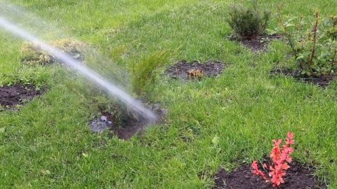 ЗАЧЕМ МЫ ПОЛИВАЕМ РАСТЕНИЯ В ОКТЯБРЕ??? И ПОЧЕМУ НЕ ДЕЛАЕМ ВЛАГОЗАРЯДНЫЙ ПОЛИВ.