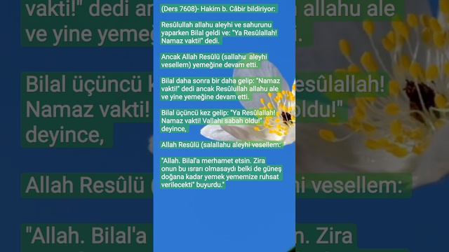 (Ders 7608)- Allah Resûlü : Allah. Bilal'a merhamet etsin. Zira onun bu ısrarı olmasaydı...