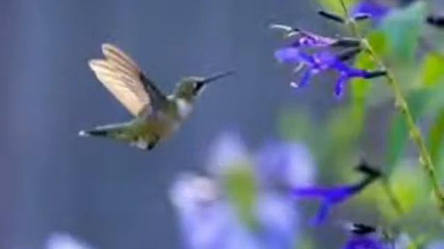 Картинки # 4 смотреть онлайн