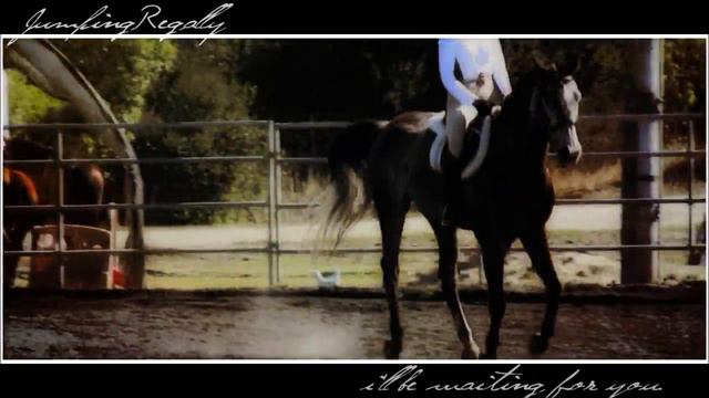 i'll be waiting for you. [250] смотреть онлайн