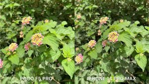 Poco F5 Pro vs iPhone 14 Pro Max Camera Test