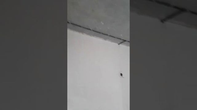 Электромонтаж без гофры смотреть онлайн