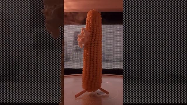 Popping corn on the cob in the microwave смотреть онлайн