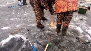 Зимняя рыбалка на карпа.Ловля карпов зимой.