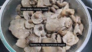 Маринованные синеножки на зиму.грибы на зиму.Pickled bluelegs.