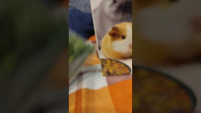 обзор на лакомства для Себастьяна смотреть онлайн