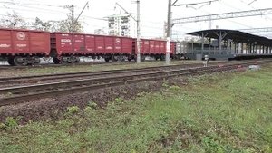 Маневровый тепловоз ЧМЭ3-4024 (ТЧЭ-2) следует с грузовым поездом.
