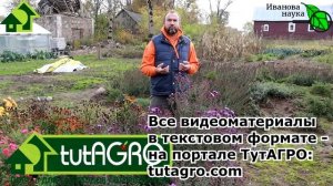 САМЫЙ ПРОСТОЙ СПОСОБ ОПРЕДЕЛИТЬ ПЛОДОРОДИЕ ПОЧВЫ. Не упустите возможность сделать БЕСПЛАТНЫЙ тест!