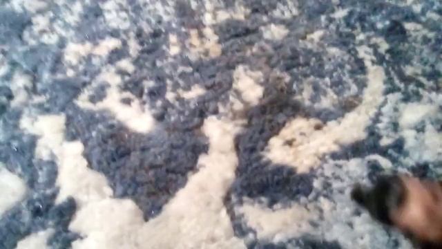 The Jekoos! (MOVIE!) смотреть онлайн