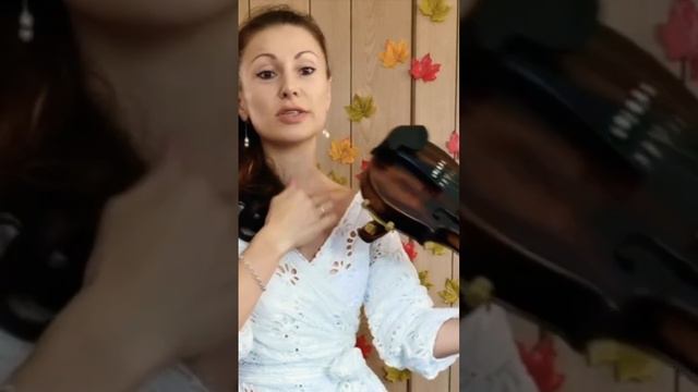 Из чего состоит скрипка! Обучаю скрипке, урок 1 #урокимузыки