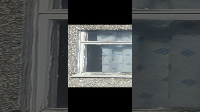квартиры для вампира