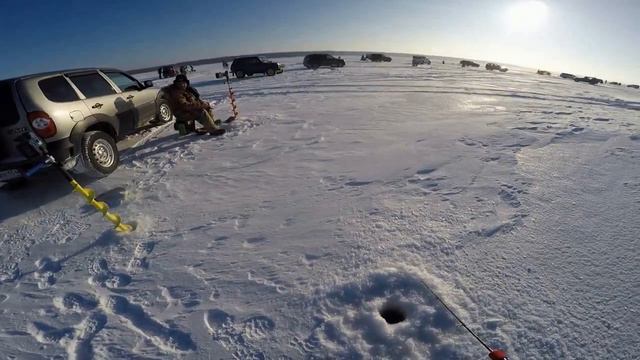 НОВОГОДНЯЯ РЫБАЛКА В ТОЛПЕ НА СУДАКА! СЕЗОН 2024! #судак #vib #bassday #condor #ОВХ ОБЬ смотреть онлайн