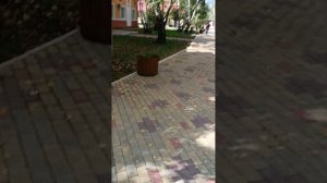 Сказка, Чернолучие, Омск. Обзор