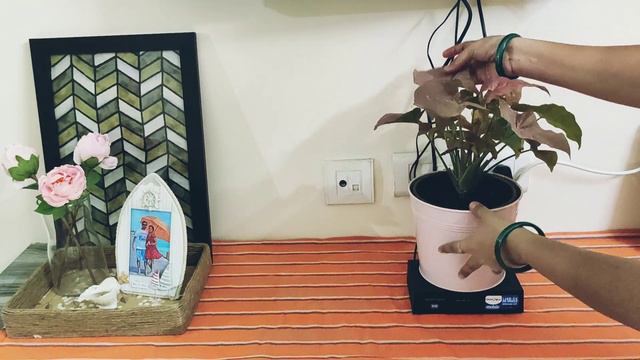 How To Decorate TV Console In Two Different Ways Rental Friendly Decor idea