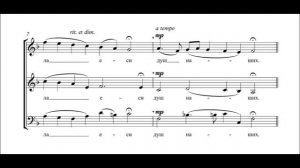 Библиотека церковного хора - 8 лет! Ансамбль солистов В.Е.Р.А.