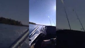 Лодка Янтарь2 и плм Ветерок 8 скорость 22км