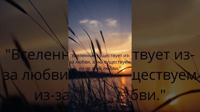 "Вселенная существует из-за любви, а мы существуем из-за этой любви."