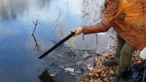 ОТКУДА В ВОДОЁМАХ БЕРЁТСЯ РЫБА?! (МЫ НАШЛИ ОТВЕТ)