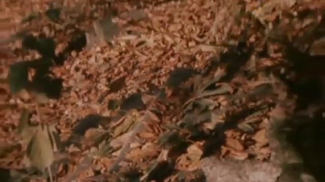 Фредерик Франсуа Шопен смотреть онлайн