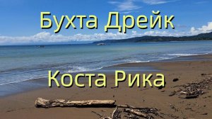 Бухта Дрейк Коста Рика ! Райский пляж, живу один в целом отеле с крабами и жабой !