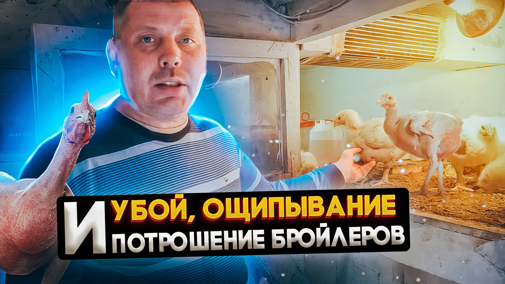 Забой и потрошение бройлера. Как это делаю я. Деревенский способ. "Мое Подворье"