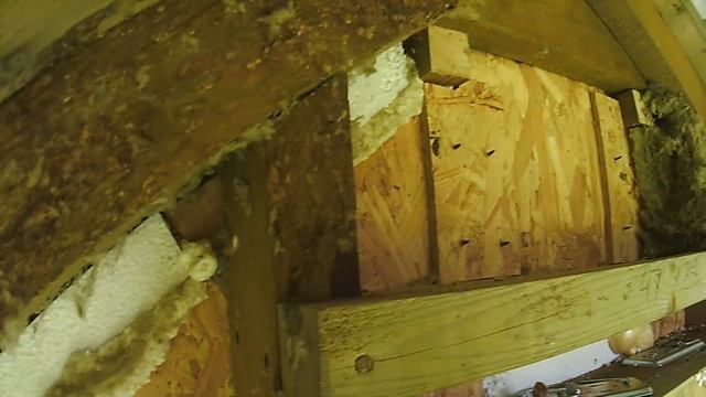 Мыши в стенах каркасного дома смотреть онлайн